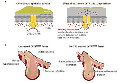 Early Diagnosis and Intervention in Cystic Fibrosis: Imagining the Unimaginable